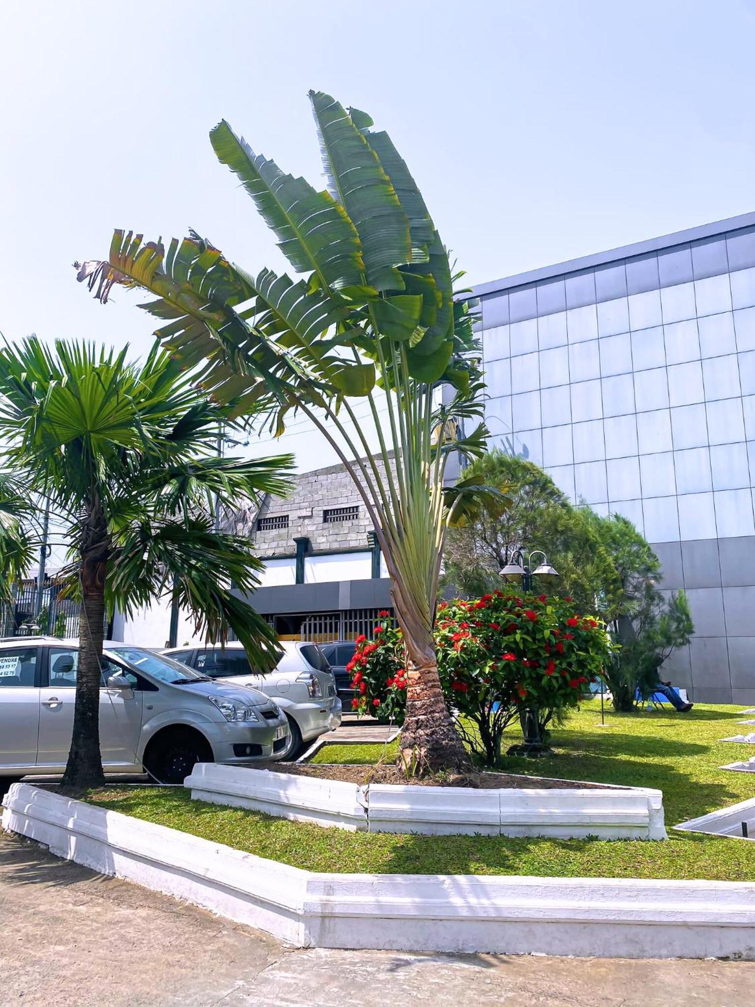 Hotel Vallée Des Princes Douala Esterno foto